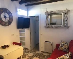 Living room of Flat to rent in  Madrid Capital  with Heating and Furnished