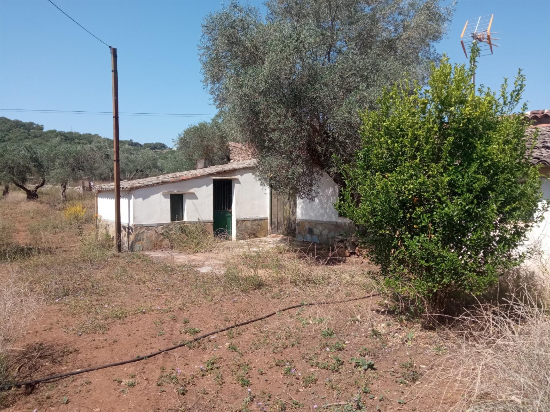 Finca rústica en venda en Corteconcepción amb Jardí privat