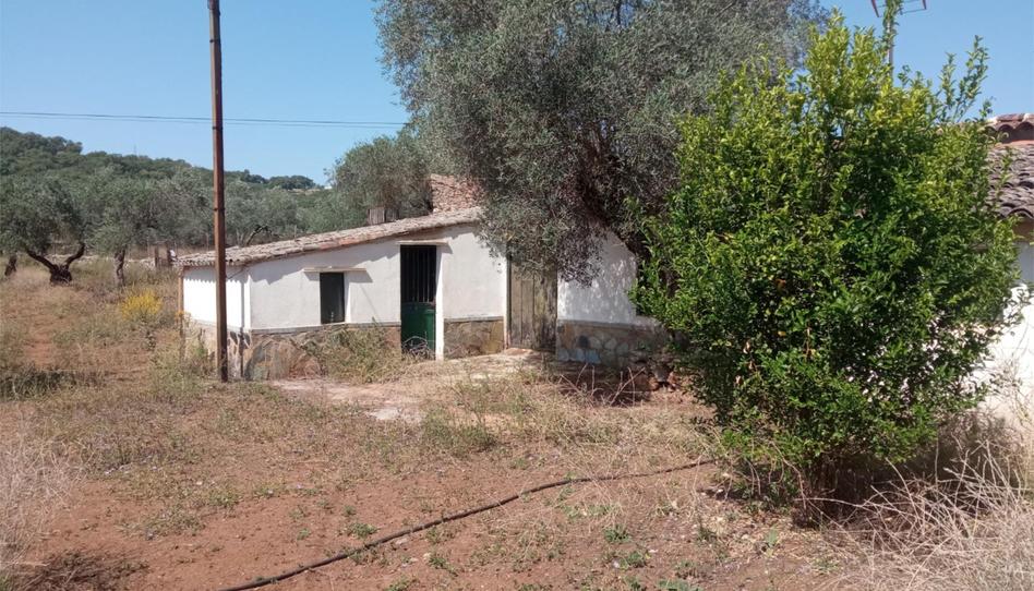 Foto 1 de Finca rústica en venda a Calle Evaristo Perez, 24, Corteconcepción, Huelva