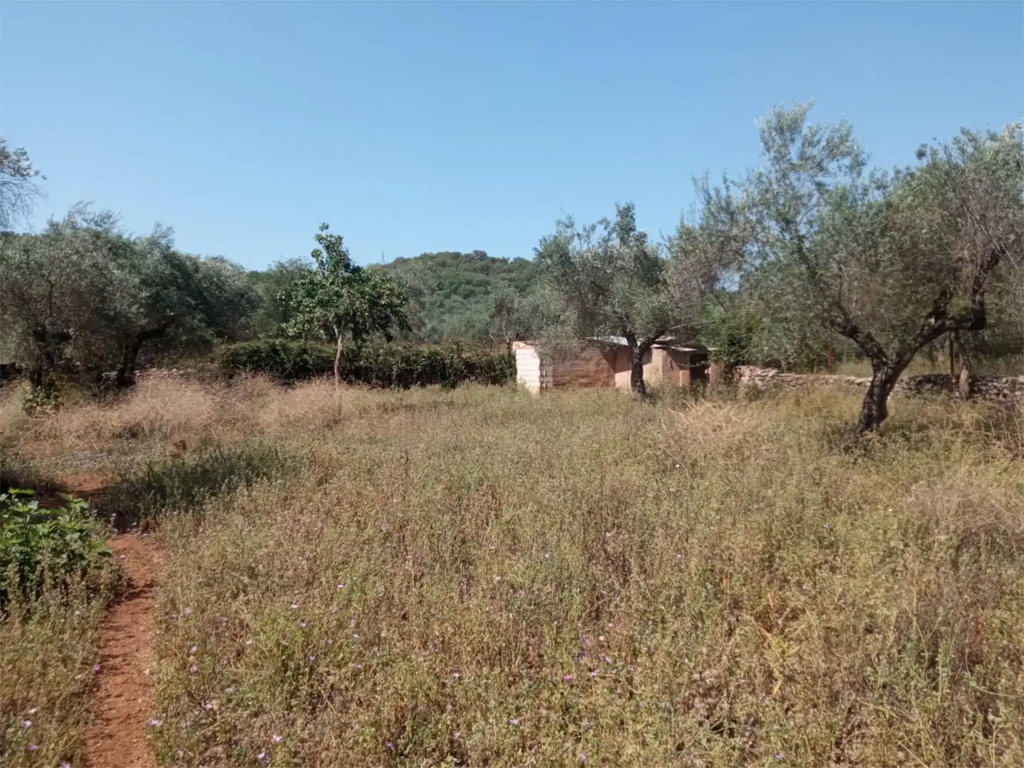 Finca rústica en venda a Calle Evaristo Perez, 24, Corteconcepción Finca rústica en venda en Corteconcepción amb Jardí privat