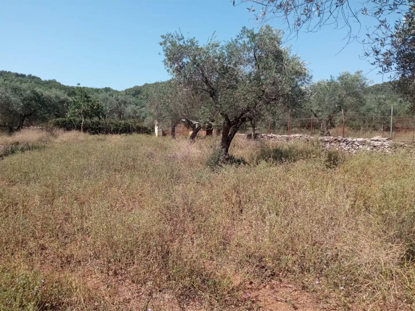 Finca rústica en venda a Calle Evaristo Perez, 24, Corteconcepción Finca rústica en venda en Corteconcepción amb Jardí privat