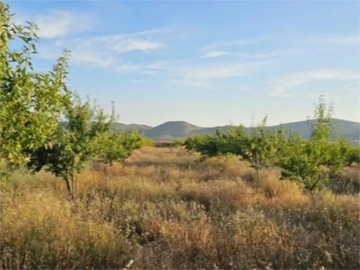 Non-constructible Land for sale in Carretera de Tabuenca, Fuendejalón Non-constructible Land for sale in Fuendejalón