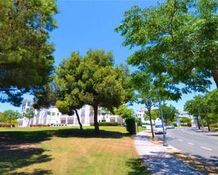 Exterior view of Apartment to rent in  Murcia Capital  with Heating, Private garden and Terrace