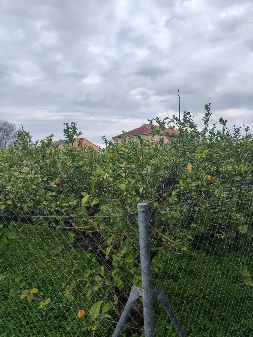 No Urbanitzable en venda en Murcia