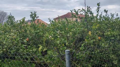 No Urbanitzable en venda a Camino Vizcos, 6, San Ginés, Murcia - imatge 2 Foto 2 de No Urbanitzable en venda a Camino Vizcos, 6, San Ginés, Murcia