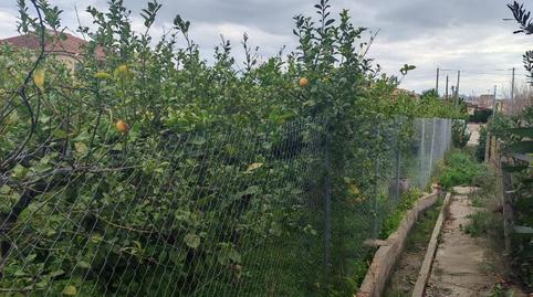 No Urbanitzable en venda a Camino Vizcos, 6, San Ginés, Murcia - imatge 4 Foto 4 de No Urbanitzable en venda a Camino Vizcos, 6, San Ginés, Murcia