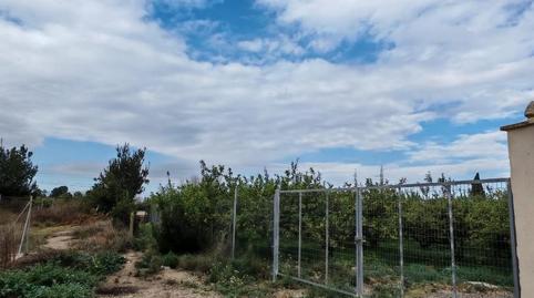 No Urbanitzable en venda a Camino Vizcos, 6, San Ginés, Murcia - imatge 3 Foto 3 de No Urbanitzable en venda a Camino Vizcos, 6, San Ginés, Murcia