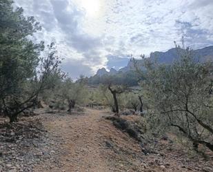 Terreny en venda en Benimantell