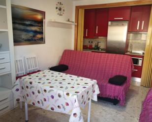 Living room of Apartment to rent in Roquetas de Mar  with Air Conditioner, Private garden and Terrace