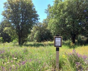 Land for sale in El Tiemblo 
