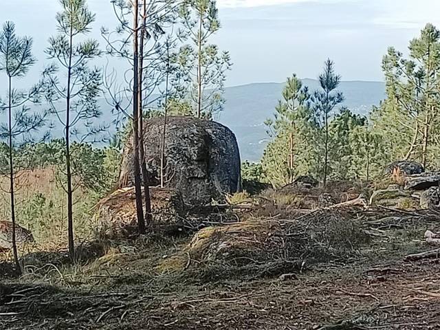 Terreno en Venta en Aldea Penedo, 20 en O Pereiro de Aguiar