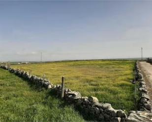 No Urbanitzable en venda a Camino del Cementerio, 41, Pozoblanco