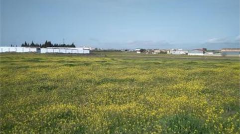 Foto 2 de No Urbanizable en venta en Camino del Cementerio, 41, Pozoblanco, Córdoba