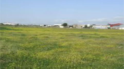 Foto 3 de No Urbanizable en venta en Camino del Cementerio, 41, Pozoblanco, Córdoba