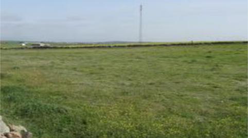 Foto 4 de No Urbanizable en venta en Camino del Cementerio, 41, Pozoblanco, Córdoba