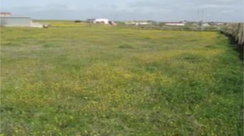 Foto 5 de No Urbanizable en venta en Camino del Cementerio, 41, Pozoblanco, Córdoba