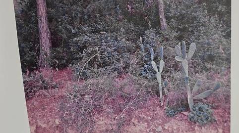 Foto 3 von Bebaubares Gelände zum Verkauf in Carretera Olesa a Martorell, 30, Abrera, Barcelona