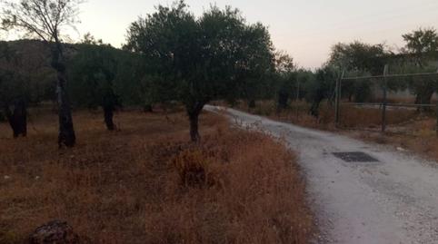 Foto 4 de No Urbanitzable en venda a Diseminado Diseminados, 235, Monda, Málaga