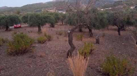 Foto 5 de No Urbanitzable en venda a Diseminado Diseminados, 235, Monda, Málaga