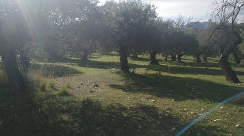 Foto 3 de No Urbanitzable en venda a Diseminado Diseminados, 235, Monda, Málaga