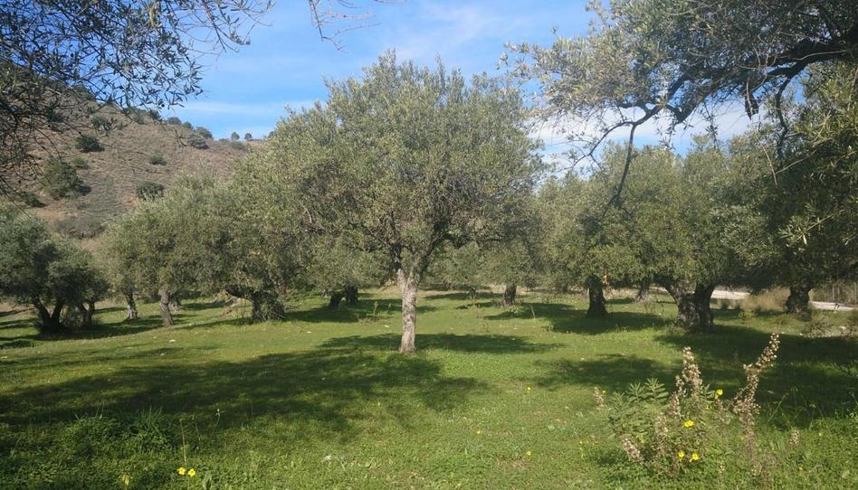 Foto 1 de No Urbanitzable en venda a Diseminado Diseminados, 235, Monda, Málaga