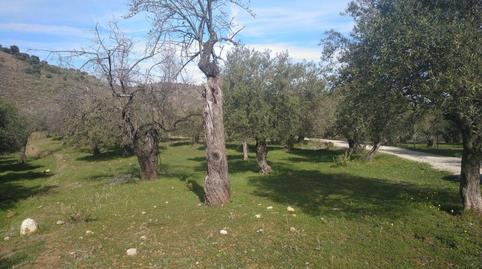 Foto 2 de No Urbanitzable en venda a Diseminado Diseminados, 235, Monda, Málaga