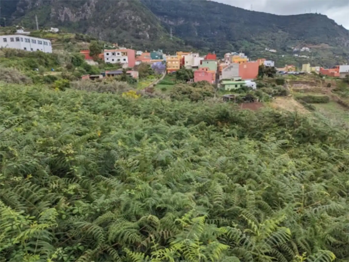 No Urbanitzable en venda a Calle Montes Claros, Los Realejos pueblo Vista exterior de No Urbanitzable en venda en Los Realejos