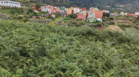 No Urbanitzable en venda a Calle Montes Claros, 15a, Los Realejos pueblo, Santa Cruz de Tenerife - imatge 2 Foto 2 de No Urbanitzable en venda a Calle Montes Claros, 15a, Los Realejos pueblo, Santa Cruz de Tenerife