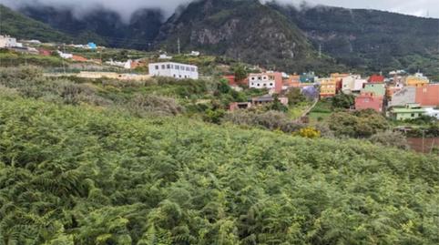 No Urbanitzable en venda a Calle Montes Claros, 15a, Los Realejos pueblo, Santa Cruz de Tenerife - imatge 4 Foto 4 de No Urbanitzable en venda a Calle Montes Claros, 15a, Los Realejos pueblo, Santa Cruz de Tenerife