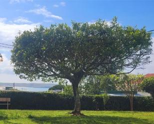 Jardí de Pis de lloguer en Valdoviño