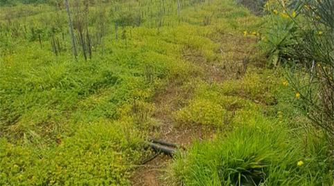 Non-constructible Land for sale in Camino Real, 308, Campo de Golf - Agua García - Juan Fernández, Santa Cruz de Tenerife - image 3 Photo 3 of Non-constructible Land for sale in Camino Real, 308, Campo de Golf - Agua García - Juan Fernández, Santa Cruz de Tenerife