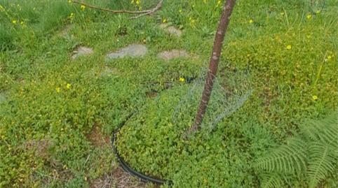 Non-constructible Land for sale in Camino Real, 308, Campo de Golf - Agua García - Juan Fernández, Santa Cruz de Tenerife - image 5 Photo 5 of Non-constructible Land for sale in Camino Real, 308, Campo de Golf - Agua García - Juan Fernández, Santa Cruz de Tenerife