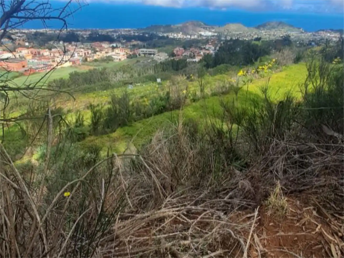 Non-constructible Land for sale in Tacoronte