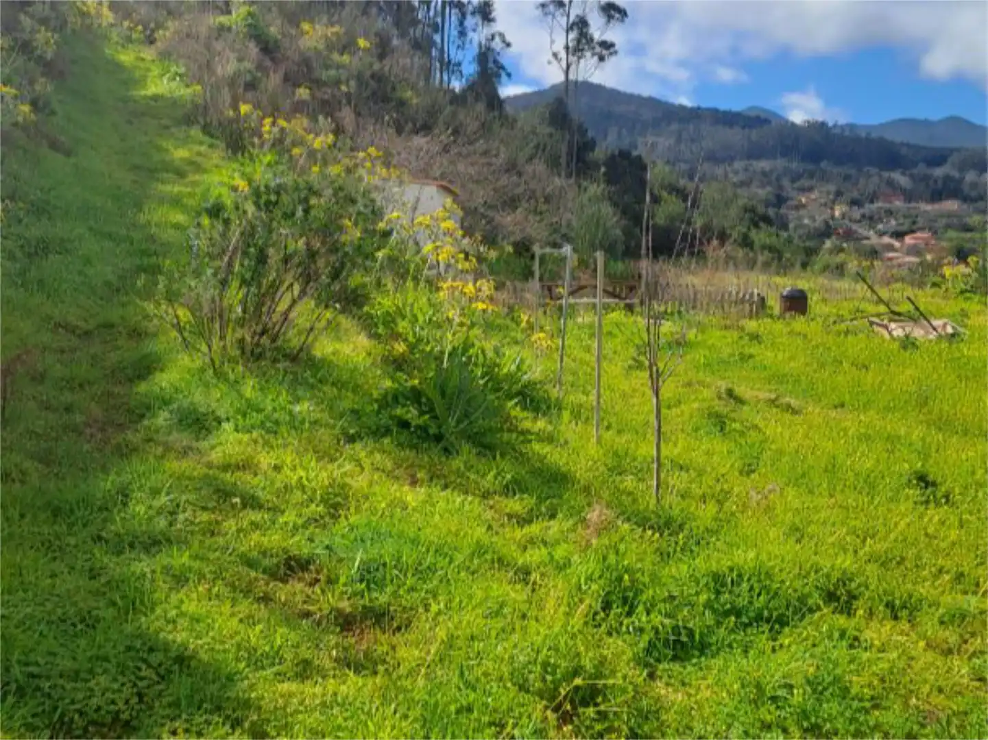 Non-constructible Land for sale in Tacoronte
