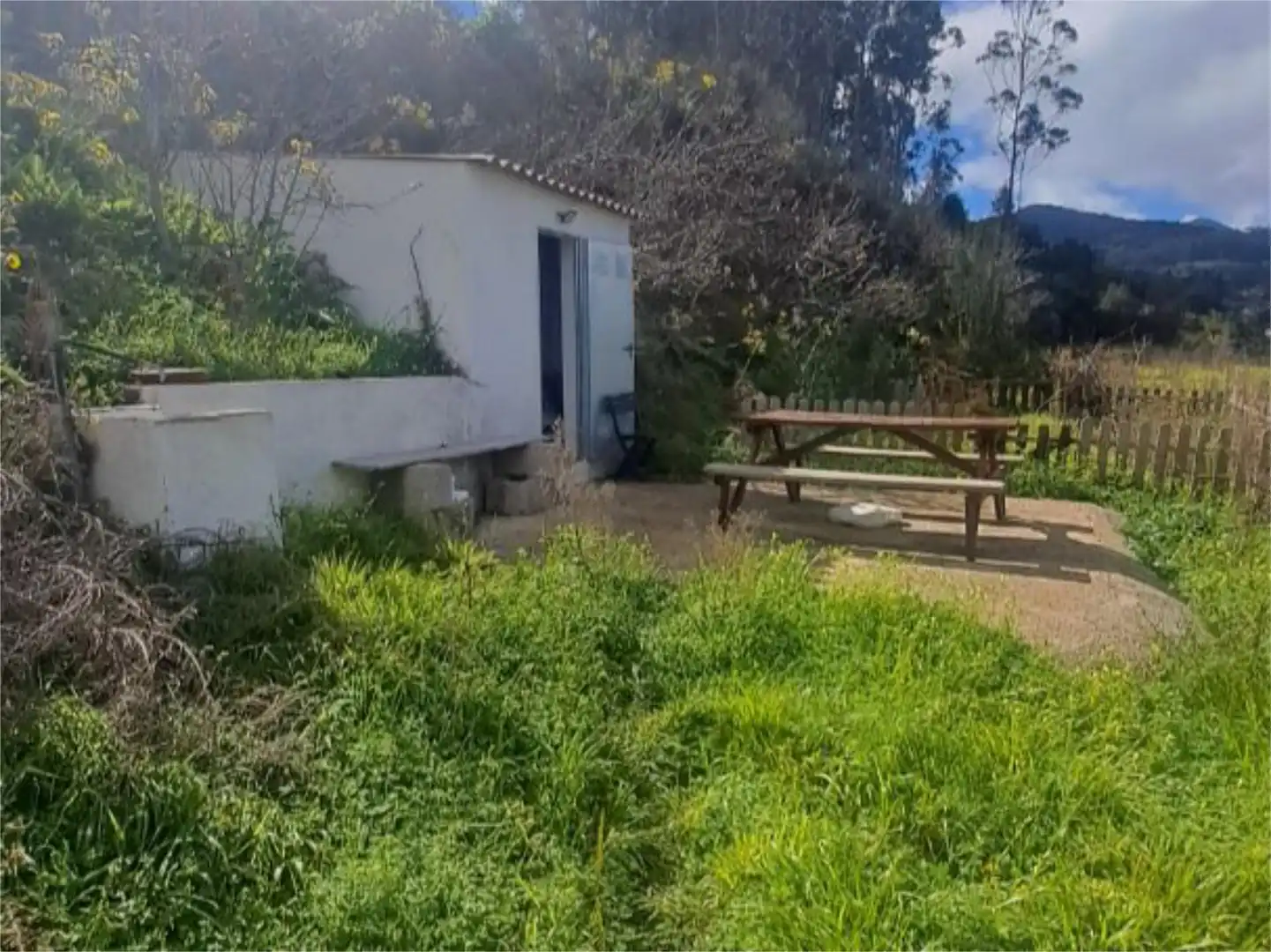 Garden of Non-constructible Land for sale in Tacoronte
