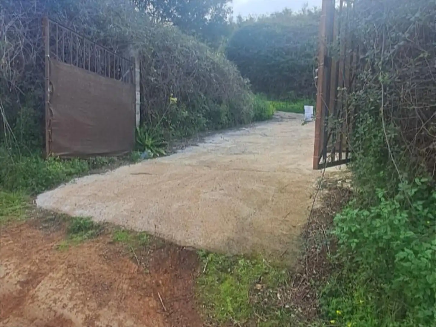 Non-constructible Land for sale in Tacoronte