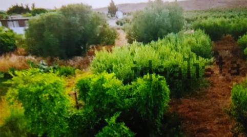 Flat for sale in Diseminado Fernan Perez, 35n, Las Negras, Almería - image 2 Photo 2 of Flat for sale in Diseminado Fernan Perez, 35n, Las Negras, Almería