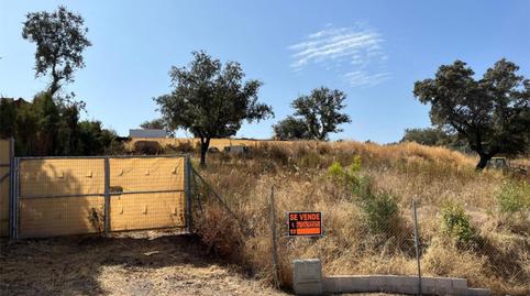 Foto 4 de Residencial en venta en Diseminado Lagos del Serrano Fase, 8, Los Lagos, Sevilla