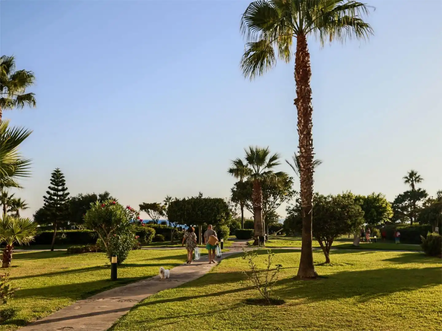 Pis en venda a urbanizacion atlanterra, 8, Atlanterra Jardí de Pis en venda en Zahara de los Atunes amb Aire condicionat, Calefacció i Jardí privat