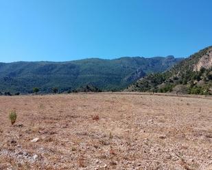 Land for sale in Ricote