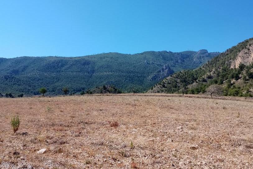 Land for sale in Rm-b15, 10, Ricote, Murcia - image 1 Photo 1 of Land for sale in Rm-b15, 10, Ricote, Murcia