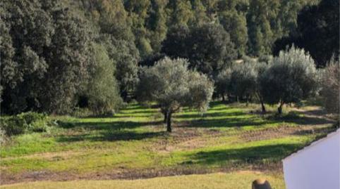 Photo 4 of Houses for sale in Diseminado el Alamillo, 2, Algodonales, Cádiz