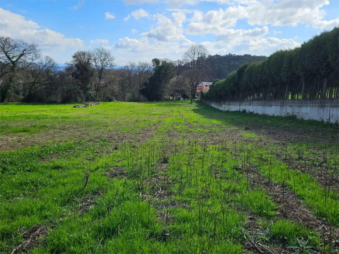 No Urbanizable en venta en Rúa Río Xares, 5, A Zapateira No Urbanizable en venta en Culleredo