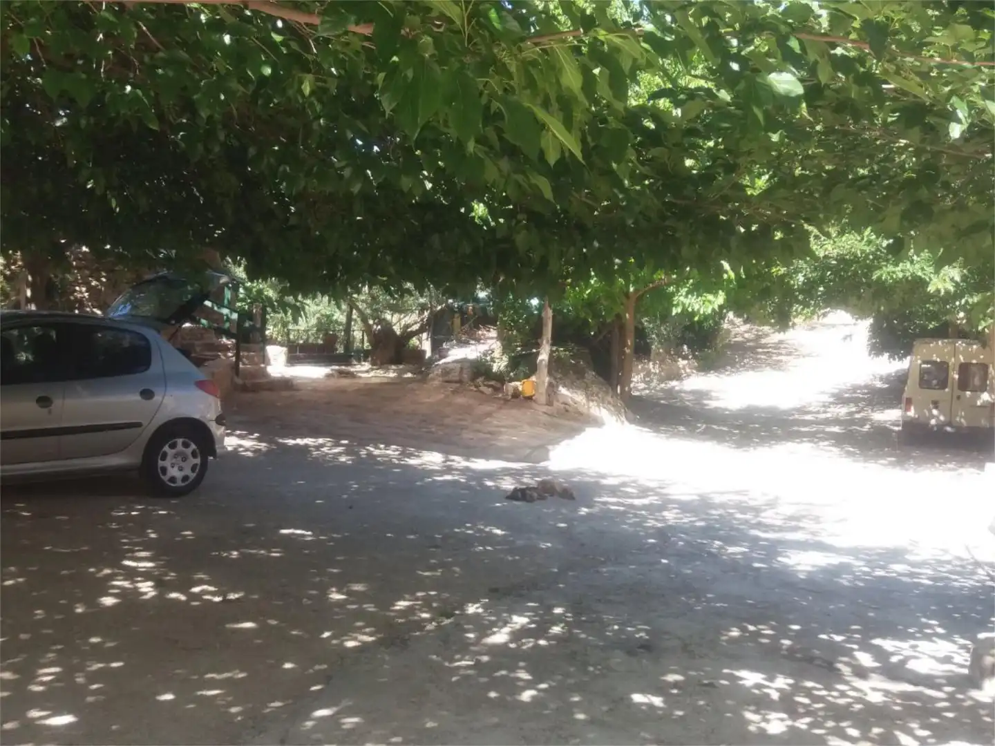 Finca rústica en venta en La Guardia de Jaén con Piscina