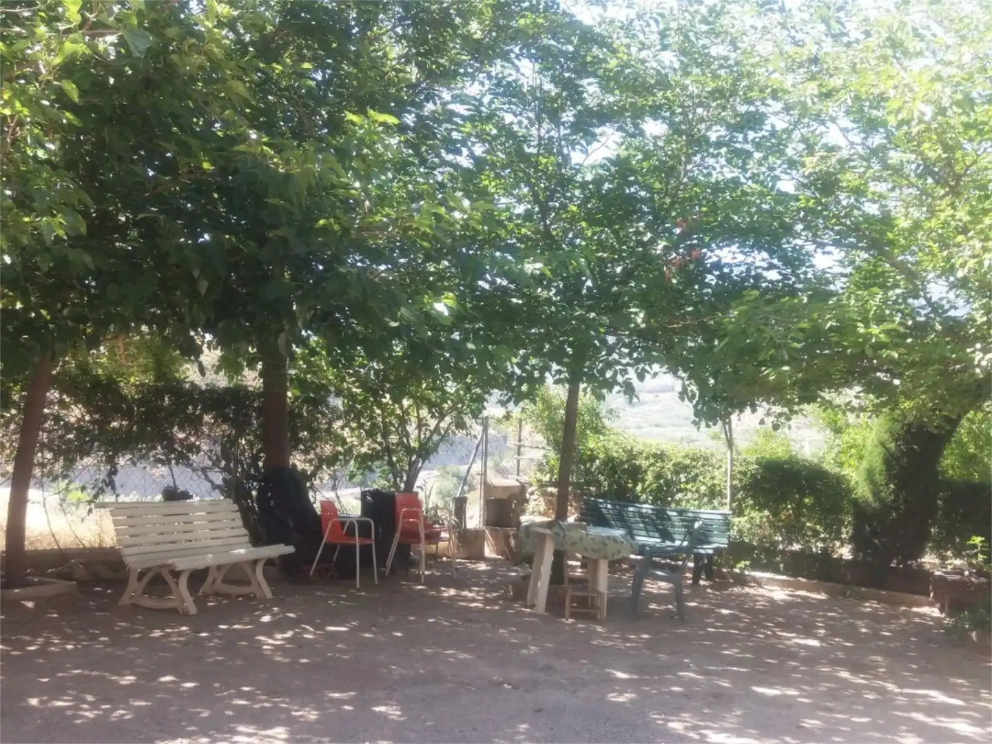 Jardín de Finca rústica en venta en La Guardia de Jaén con Piscina