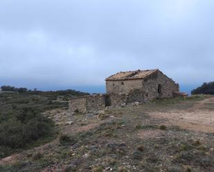 Vista exterior de Finca rústica en venda en Lucena del Cid amb Jardí privat