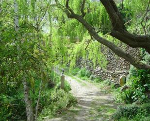 Vista exterior de Finca rústica de lloguer en Pampaneira amb Terrassa i Piscina