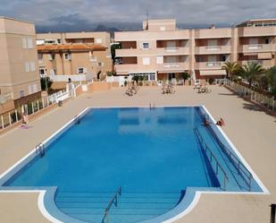 Swimming pool of Flat to rent in Arona  with Terrace