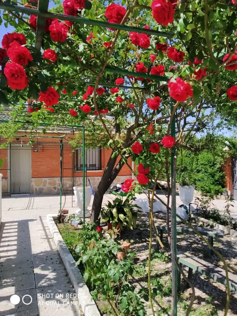 Jardí de Finca rústica en venda en Escalona amb Calefacció, Jardí privat i Terrassa