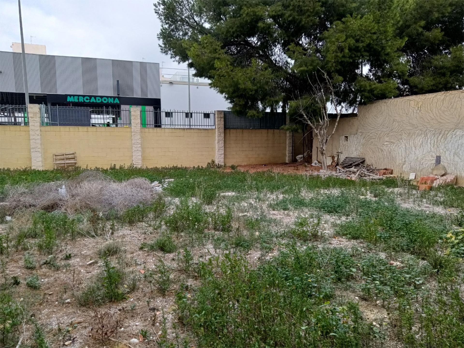 Land for sale in Albatera